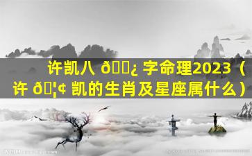 许凯八 🌿 字命理2023（许 🦢 凯的生肖及星座属什么）